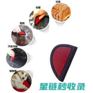 宠物毛发清理秘籍：轻松解决毛发困扰 (宠物毛发清理器)