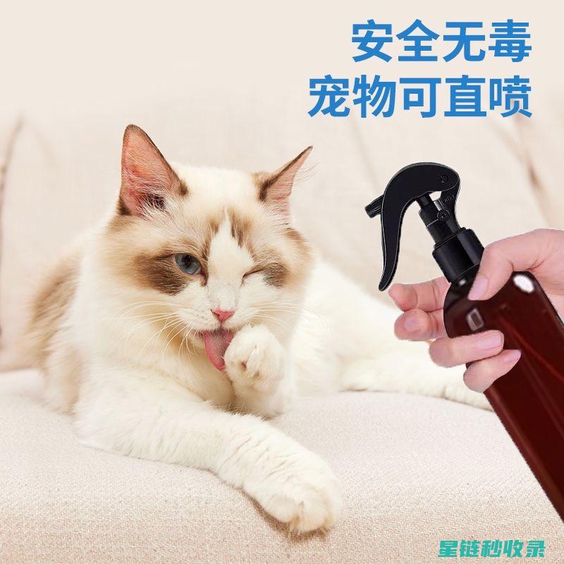 宠物异味去除：这些方法能让你的宠物散发出清新的气息 (宠物异味去除剂)