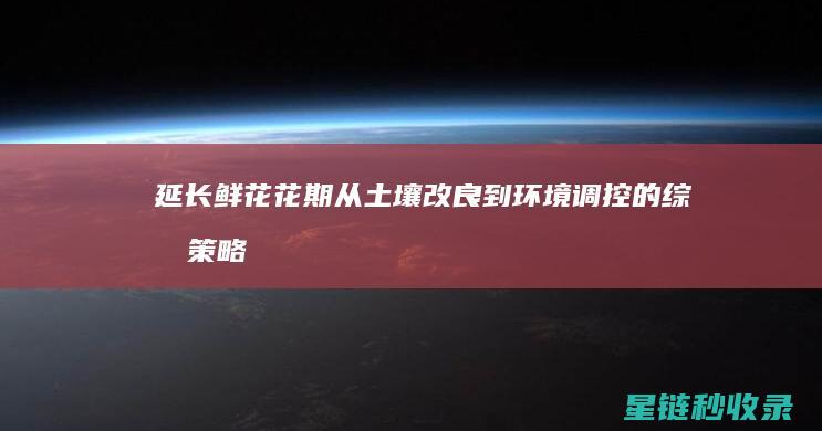 延长鲜花花期：从土壤改良到环境调控的综合策略 (延长鲜花花期的方法)