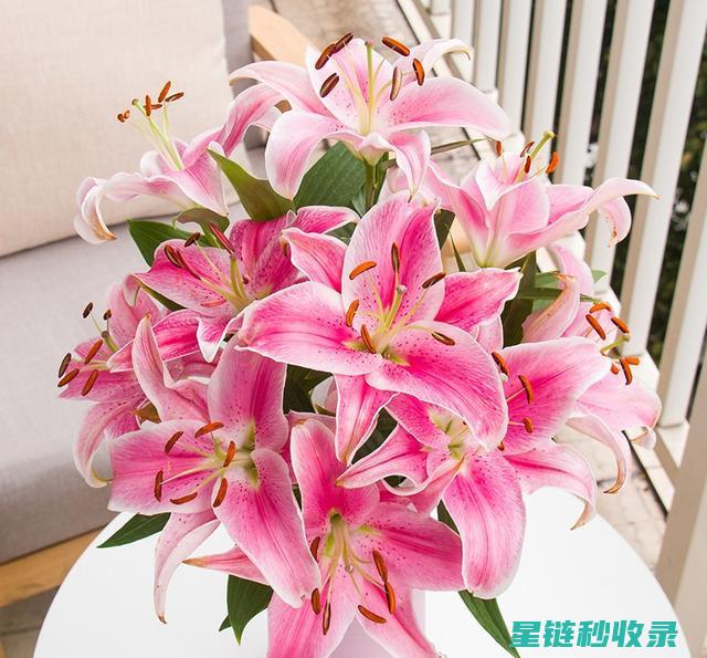 延长鲜花花期：花卉保鲜的创新技术 (延长鲜花花期的方法)