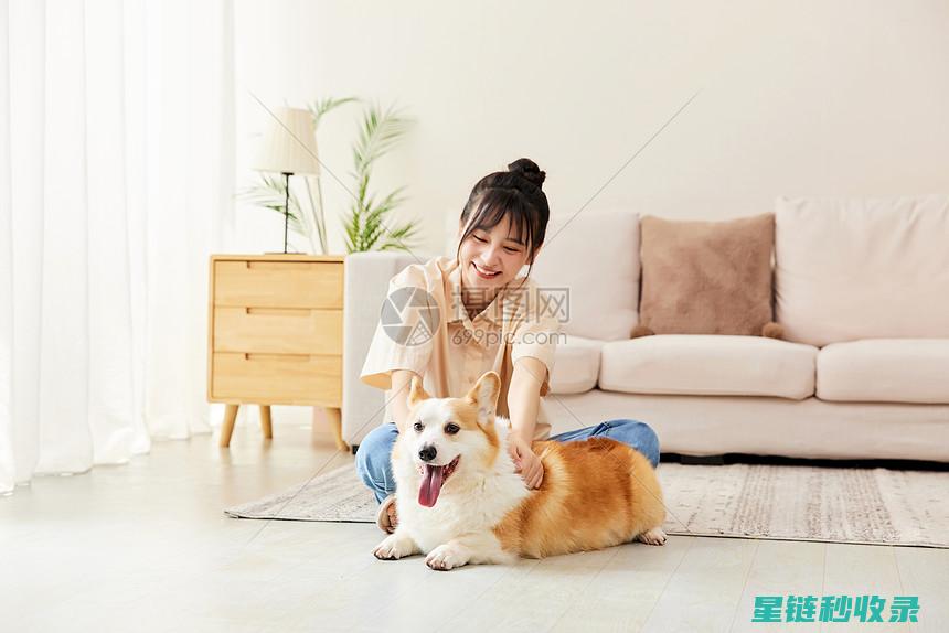 宠物碗清洁全记录：从初次使用到长期维护 (宠物碗清洁全过程视频)