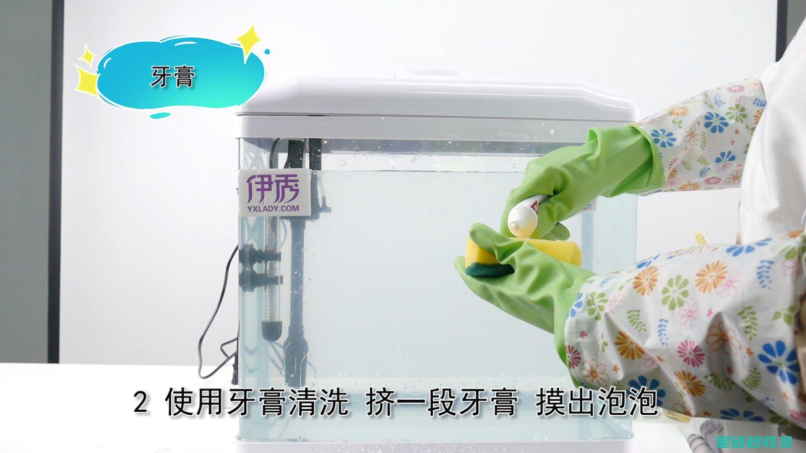 鱼缸内部清洁：全面解析与实用方法 (鱼缸内部清洁方法)